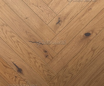 708 дуб концепт