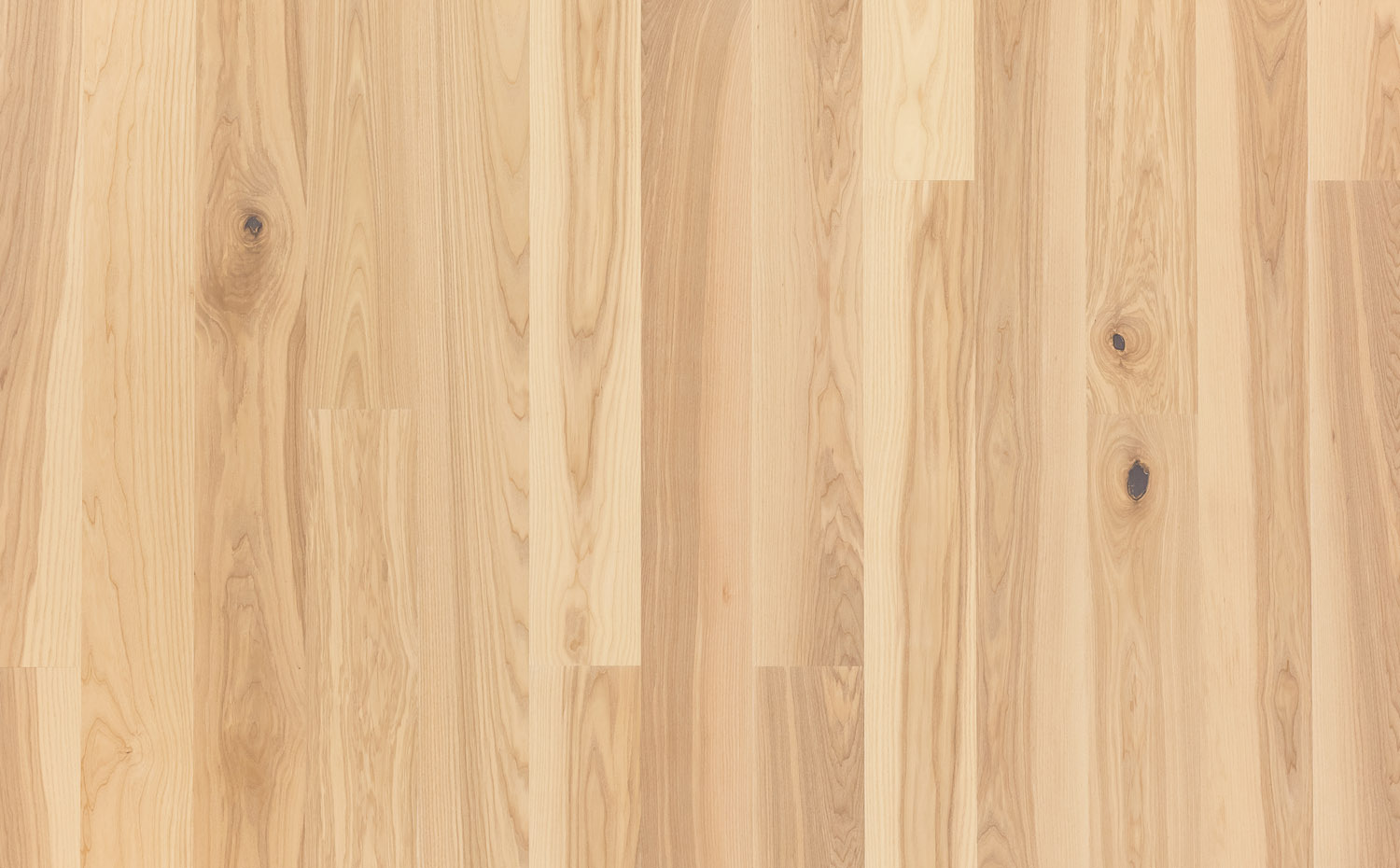 ASH-PREMIUM-138-ROYAL-WHITE