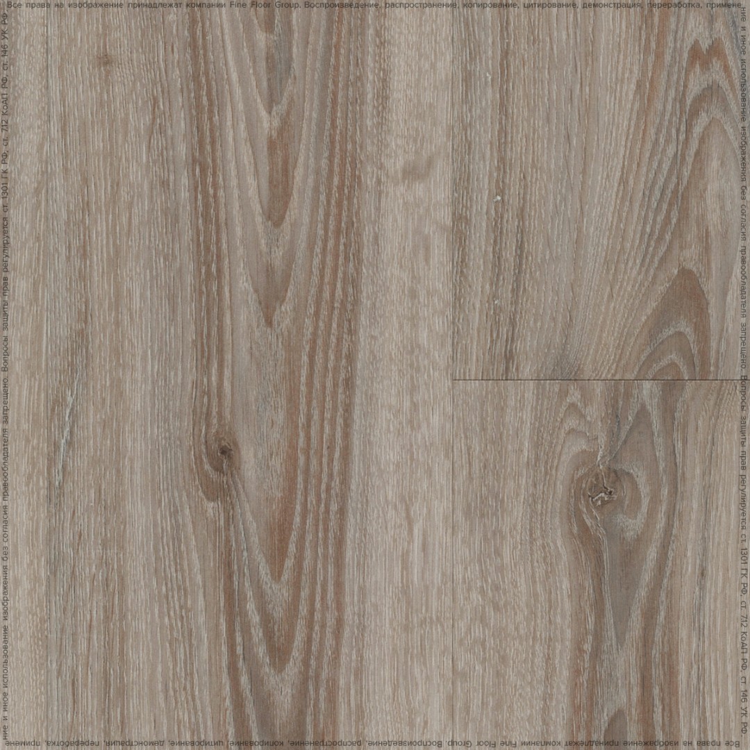 FF-1514 Дуб Шер